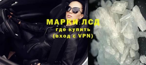 индика Пестово