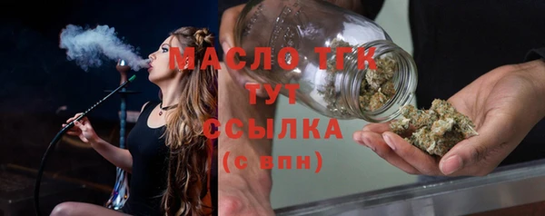 индика Пестово