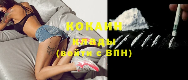 индика Пестово