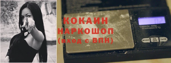 индика Пестово