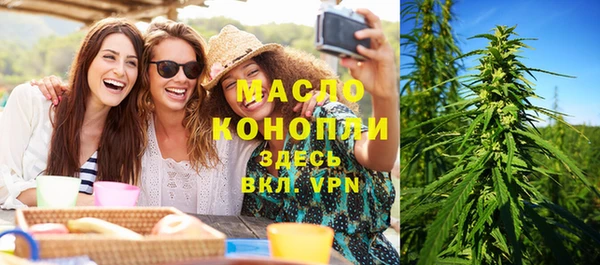 индика Пестово
