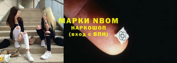 индика Пестово