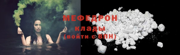 шишки Покачи