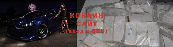 индика Пестово