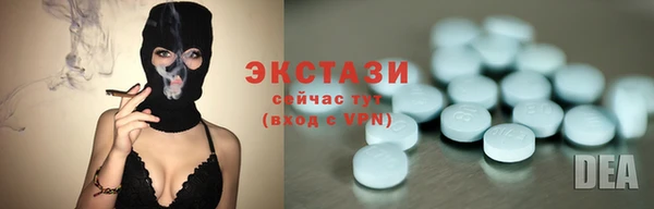 индика Пестово