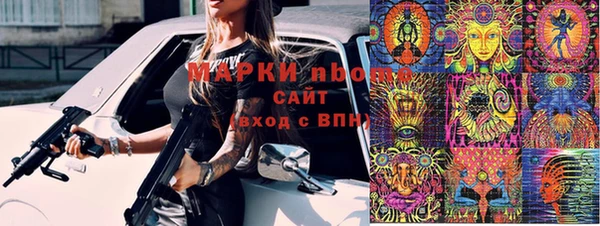 индика Пестово