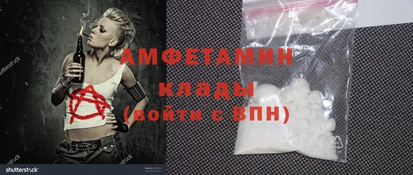 индика Пестово