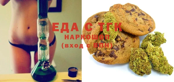 индика Пестово
