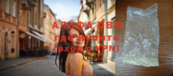 индика Пестово
