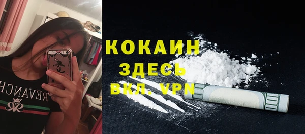 шишки Покачи