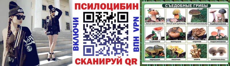 дарнет шоп  Зубцов  Галлюциногенные грибы мицелий 